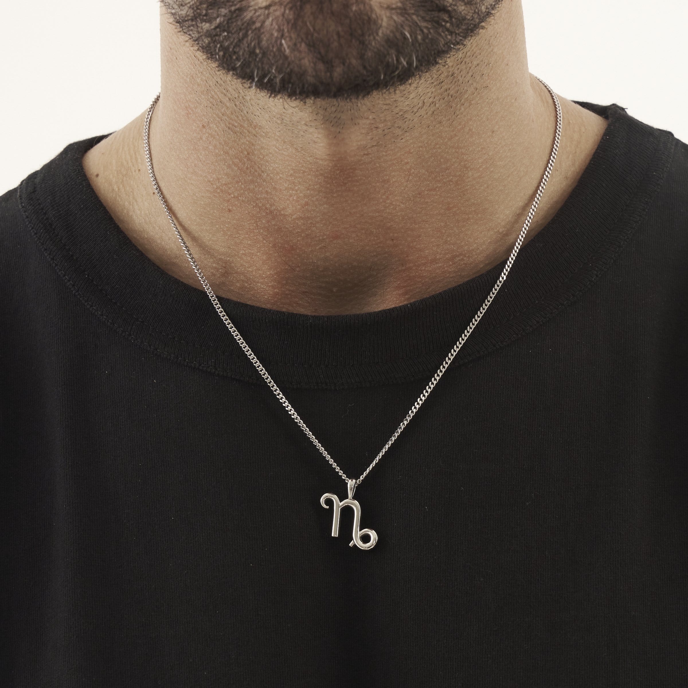 Capricorn (Silver) - Image 2