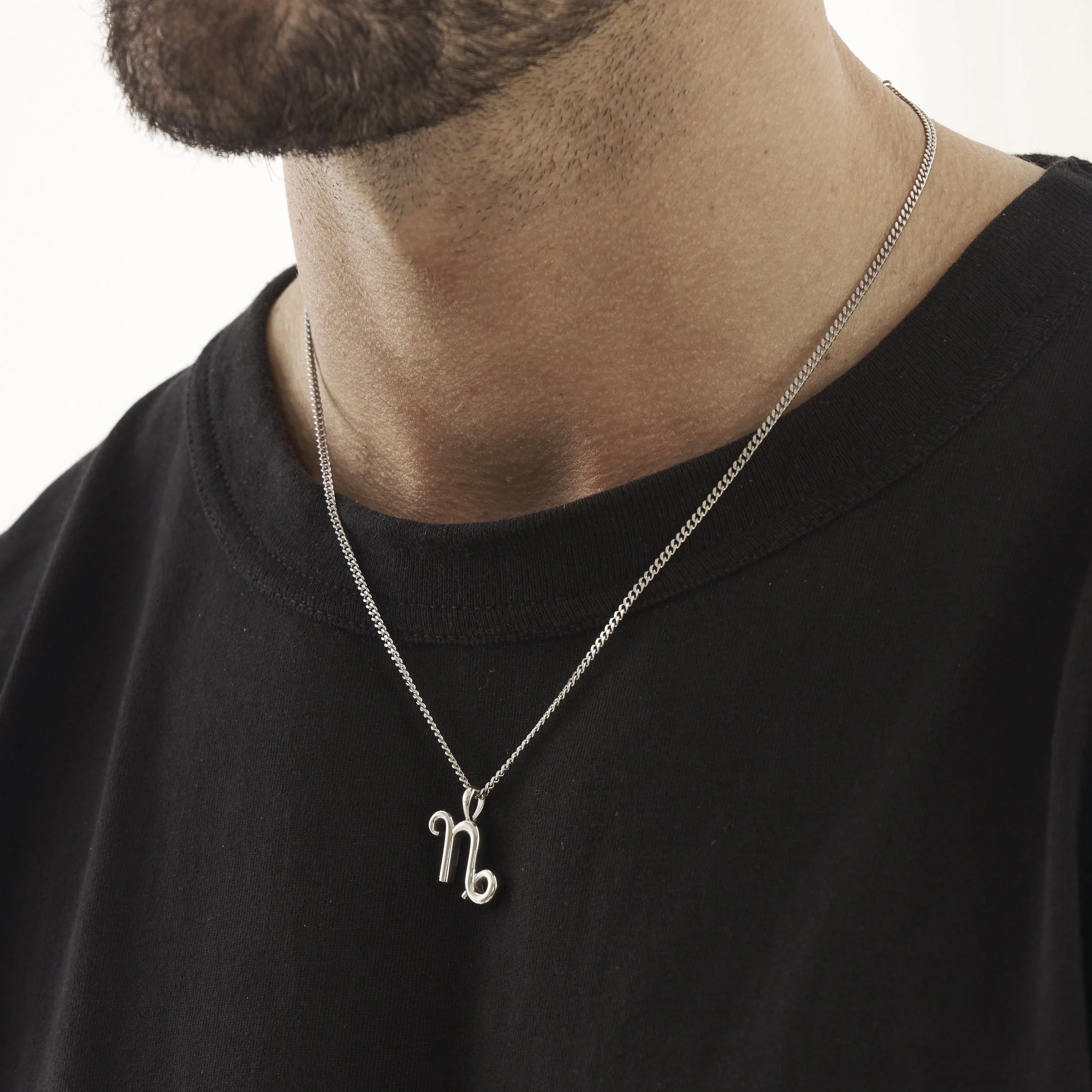 Capricorn (Silver) - Image 5