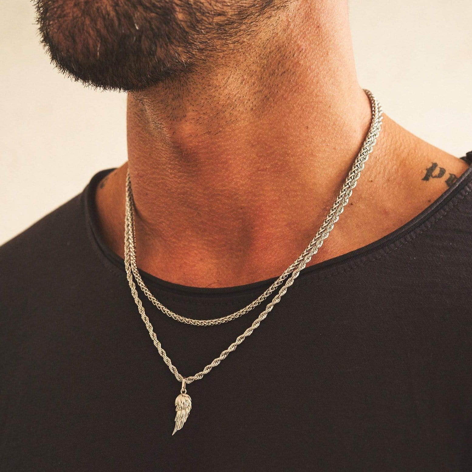 Wing Set (Silver) - Image 2